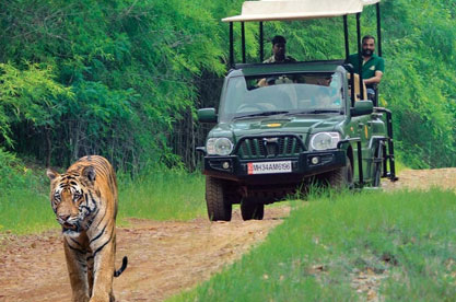 Jeep Safari Satpura