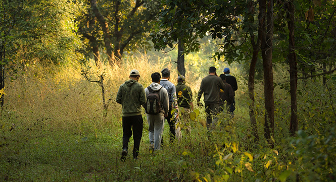 Walking Safari Satpura